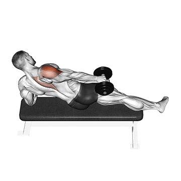 dumbbell side lying one hand raise demonstration