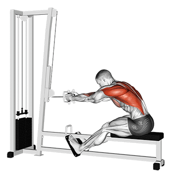 cable seated row demonstration