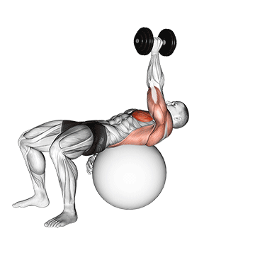 dumbbell one arm pullover on exercise ball demonstration