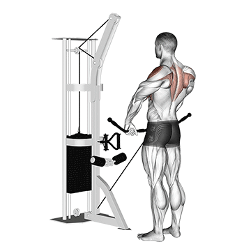 cable upright row demonstration