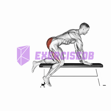 bench hip extension