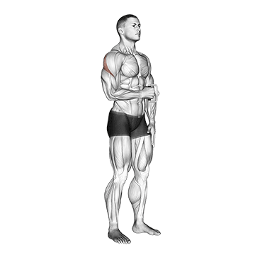 cable standing shoulder external rotation demonstration