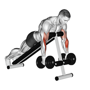 dumbbell prone incline hammer curl demonstration