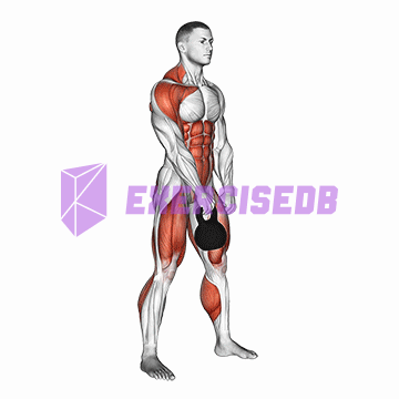 kettlebell hang clean