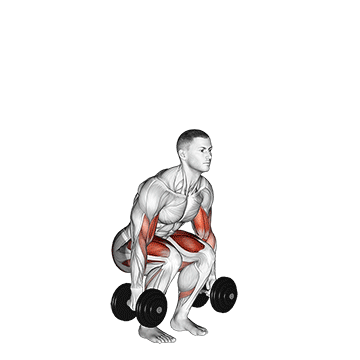 dumbbell biceps curl squat demonstration