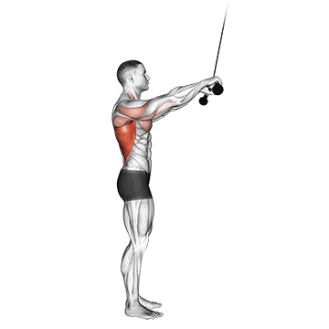 cable pushdown (straight arm) v. 2 demonstration
