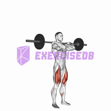 barbell clean-grip front squat