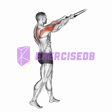 band standing rear delt row img