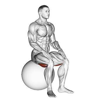 exercise ball seated hamstring stretch demonstration