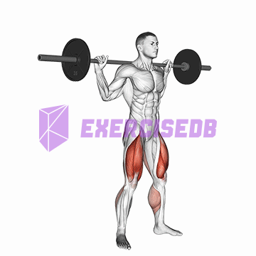 barbell jump squat