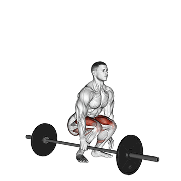 barbell one arm side deadlift demonstration