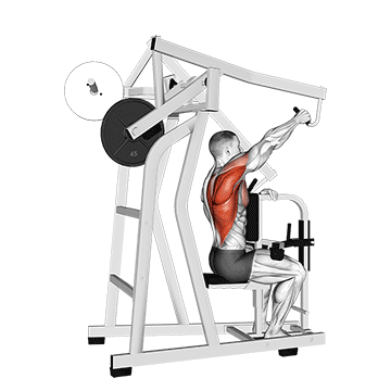 lever one arm lateral high row demonstration