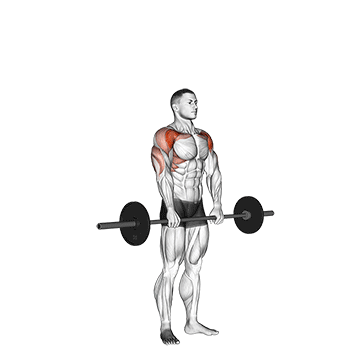 barbell standing front raise over head demonstration
