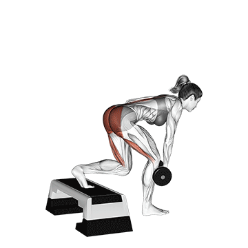 dumbbell single leg deadlift with stepbox support demonstration