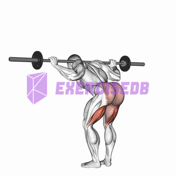 barbell good morning img