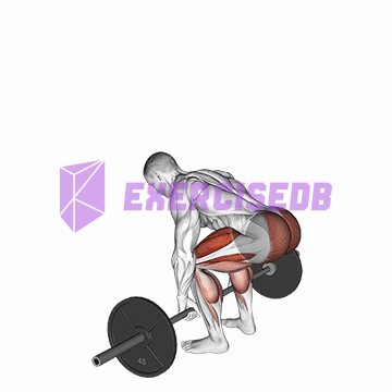 barbell deadlift