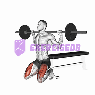 barbell squat (on knees)