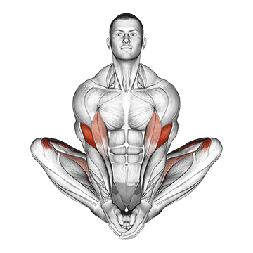 butterfly yoga pose demonstration