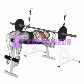 barbell decline wide-grip press