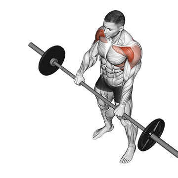 barbell front raise demonstration