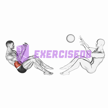assisted motion russian twist