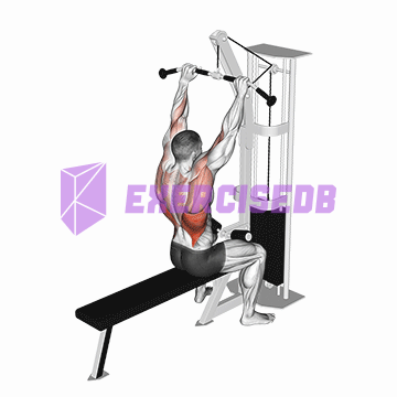 cable bar lateral pulldown img