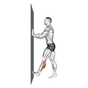 calf push stretch with hands against wall demonstration