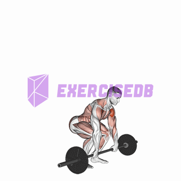 barbell clean and press