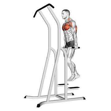chest dip (on dip-pull-up cage) demonstration