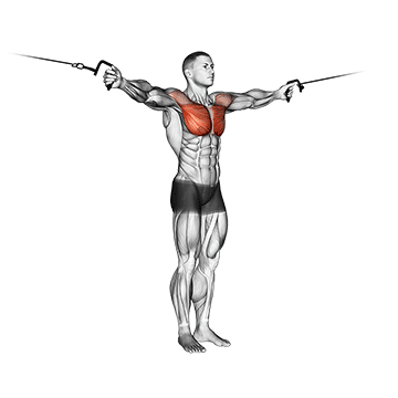 cable cross-over variation demonstration
