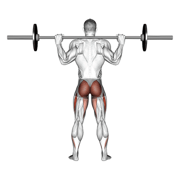 barbell full squat (back pov) demonstration