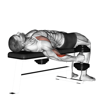 dumbbell lying supine curl demonstration
