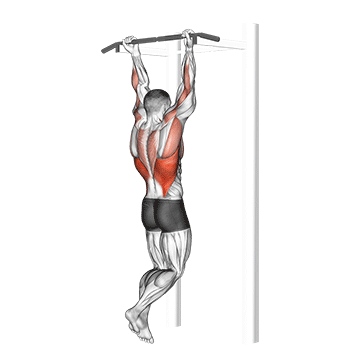 chin-up demonstration