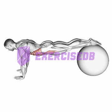 pull-in (on stability ball)