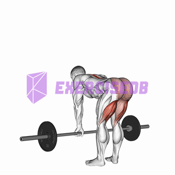 barbell straight leg deadlift img