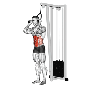 cable standing crunch (with rope attachment) demonstration