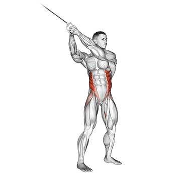 cable twist (up-down) demonstration