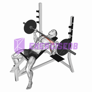 barbell incline bench press