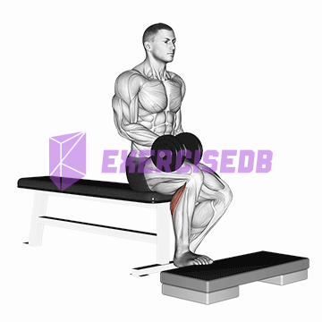 dumbbell seated one leg calf raise img