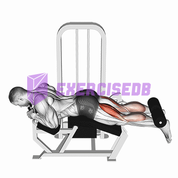 lever lying leg curl