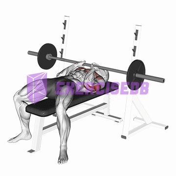 barbell close-grip bench press img