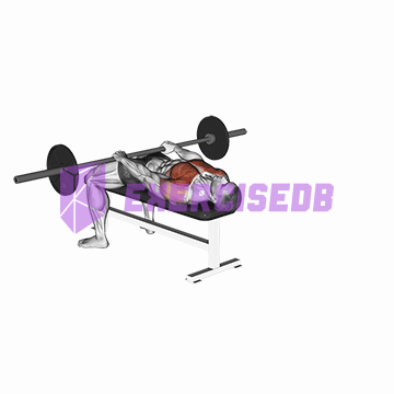 barbell front raise and pullover