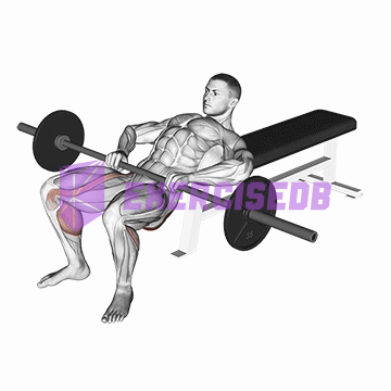 barbell lying lifting (on hip)