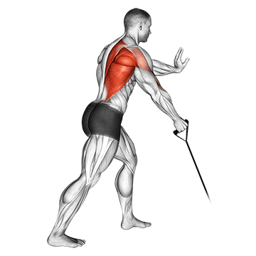band one arm standing low row demonstration