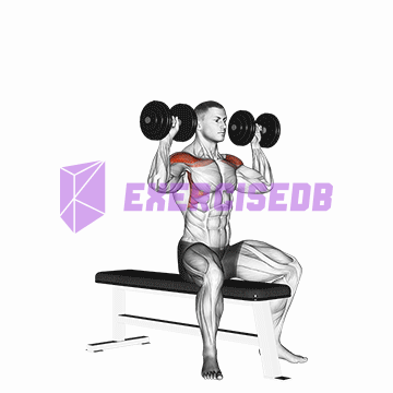 dumbbell bench seated press