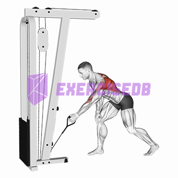 cable one arm bent over row