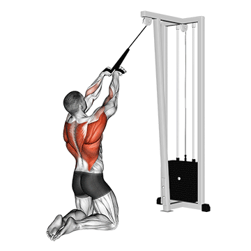 cable high row (kneeling) demonstration