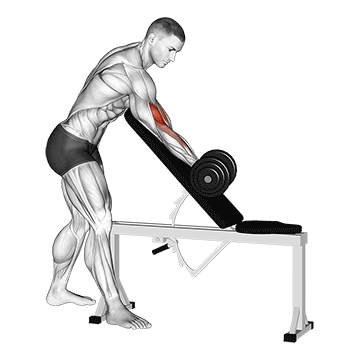 dumbbell standing one arm curl over incline bench demonstration