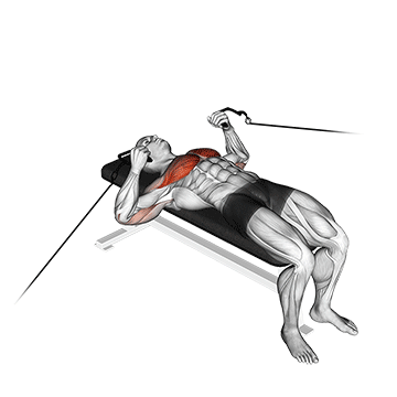 cable bench press demonstration