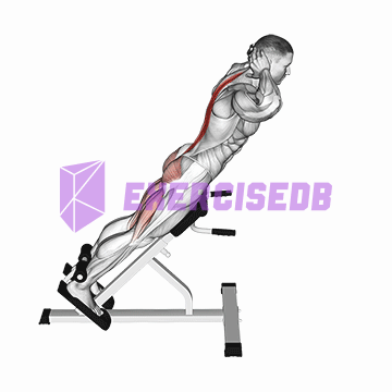 hyperextension